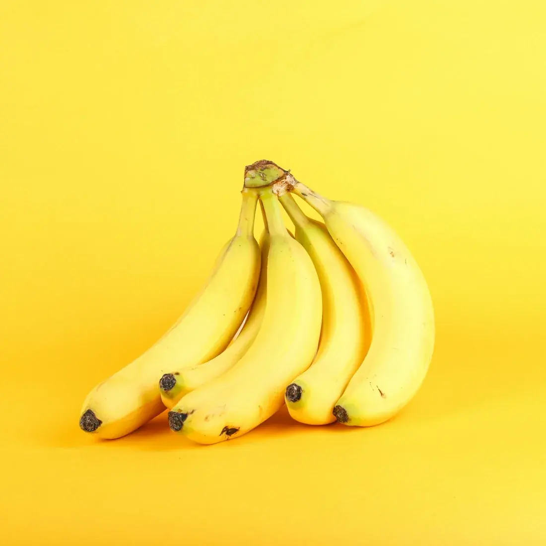 A bunch of yellow bananas against a yellow background; representative banana photograph, Cavendish cultivar unverified.