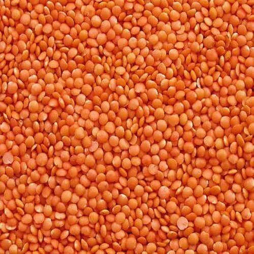 Red lentils / masoor