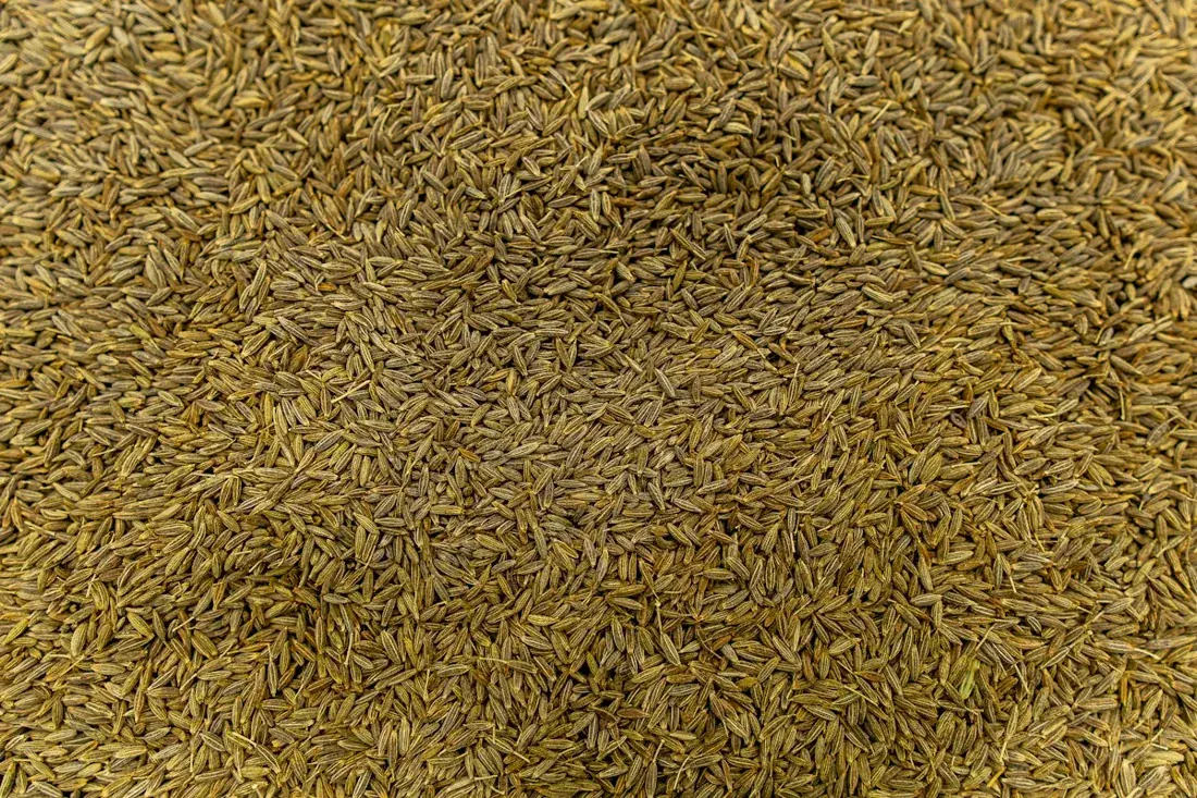 A pile of dried cumin seeds