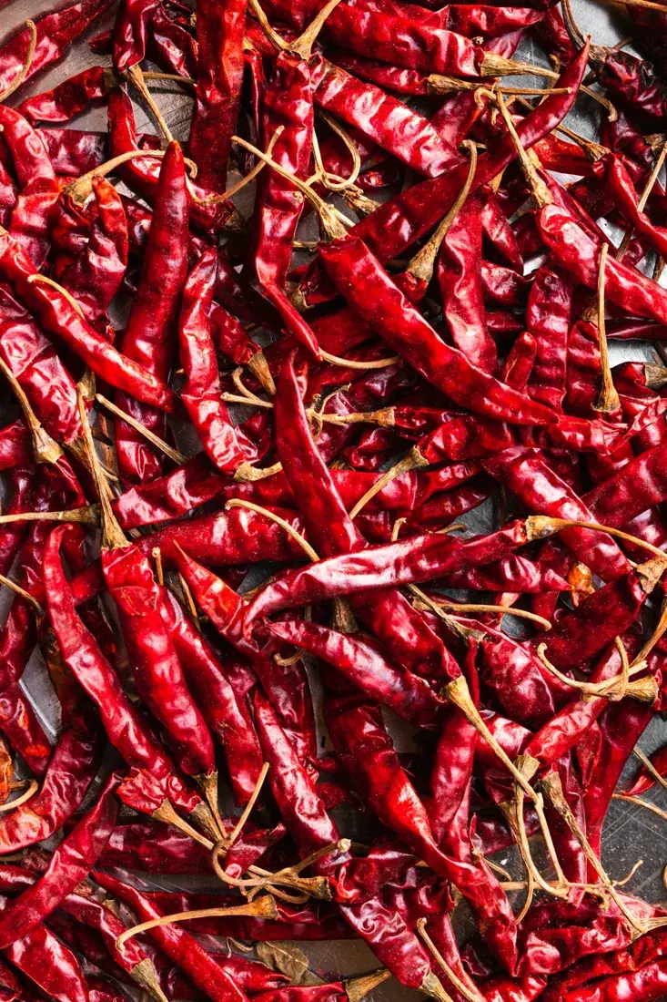 Dried red chillies; representative image, Teja cultivar unverified