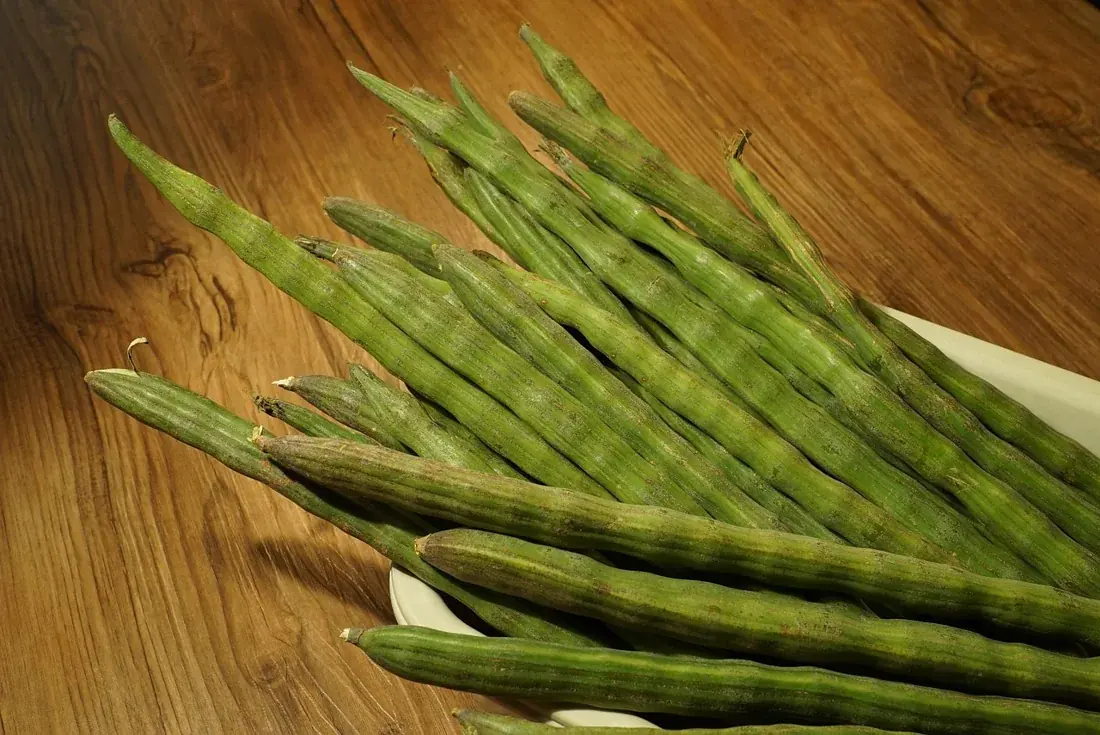 Fresh ridged moringa drumstick pods on a plate